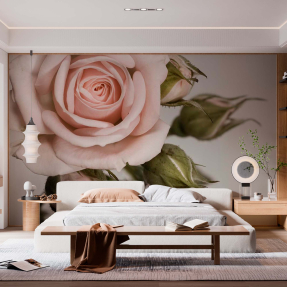 Крупная роза