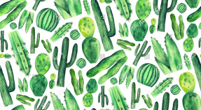 Фон из кактусов