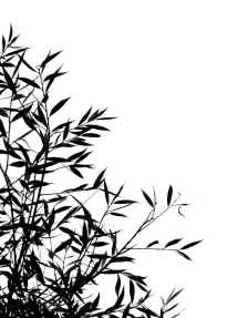 Ветви бамбука