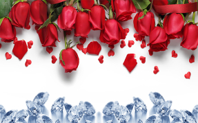 Красные розы