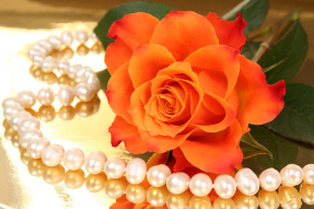 Роза и жемчуг