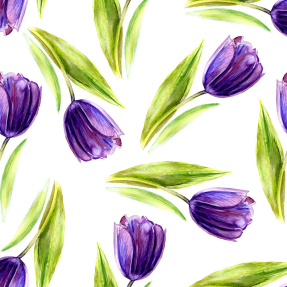 Акварельные тюльпаны