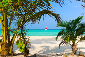 Парус в море