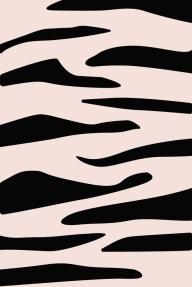 Геометрия в зебре