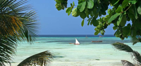 Парусники в море