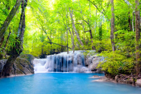 Водопад с лесу