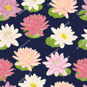 Водяные лилии