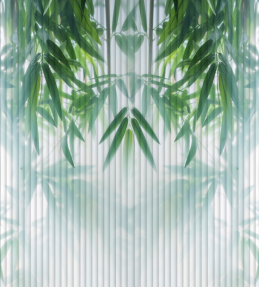 Листья в дымке