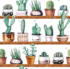 Милые кактусы