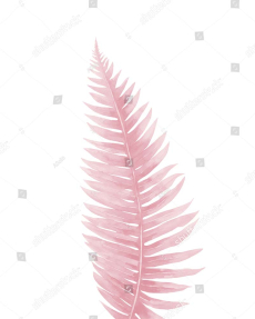 Акварельный лист папоротника