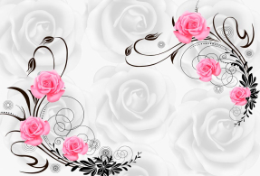 Розы на белом фоне