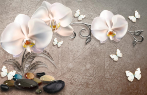 Орхидеи и бабочки