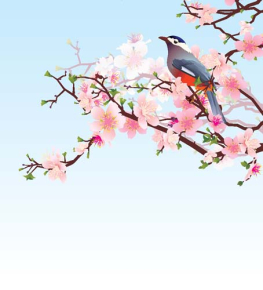 Картины Цветущая сакура с птицей
