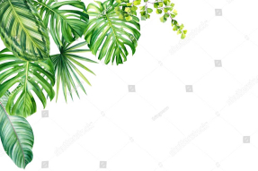 Тропические листья