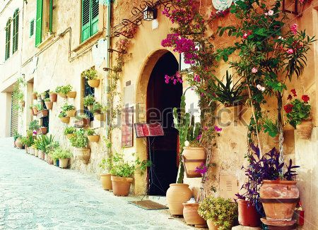 Вулиця Вулиця