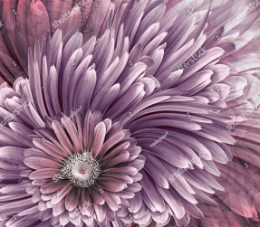 Большой цветок