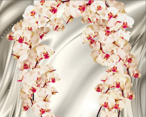 Орхидеи на шелке