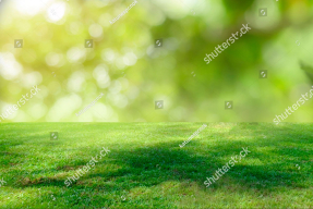 Зеленая трава