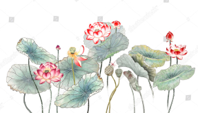 Акварельные лотосы