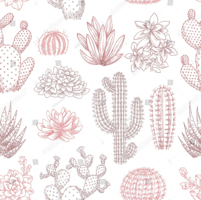 Розовые кактусы