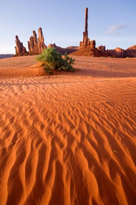 Зелень в пустыне