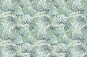 Нежные тропики