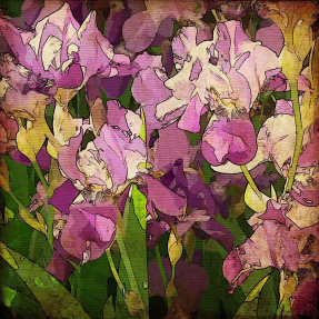 Винтажные ирисы