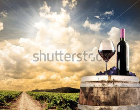 Красное вино