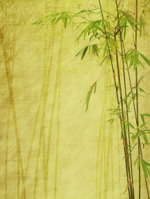 Бамбук на пергаменте