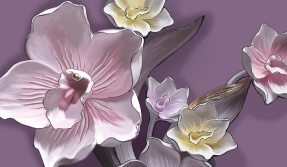 Фарфоровая орхидея