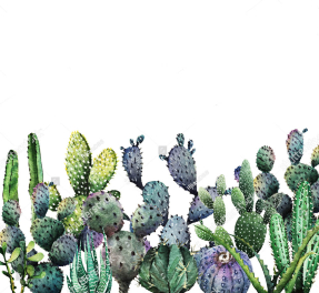 Акварельные кактусы