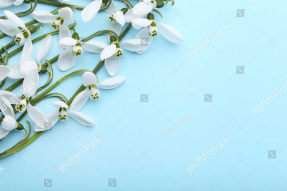 Подснежники