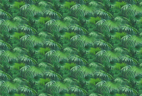 Зеленые тропики