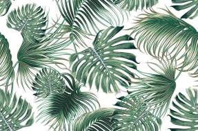 Пальмовые листья