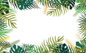 Тропический фон