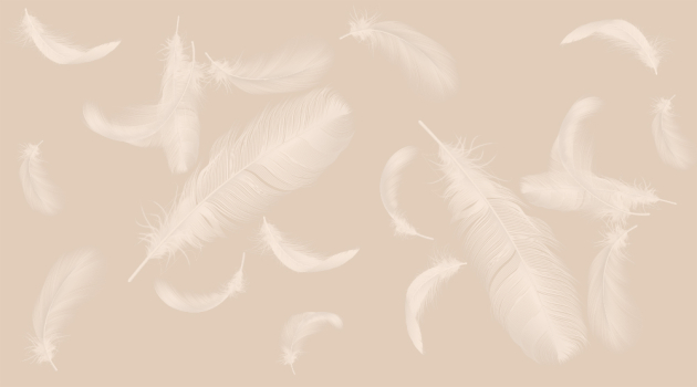 Белые перья