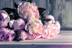 Букет пионов