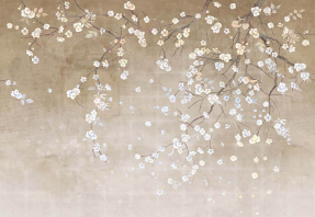 Цветущая сакура