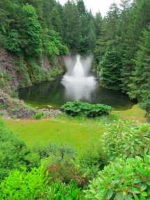 Озеро в лесу