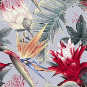 Тропические цветы