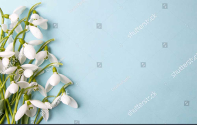 Нежные подснежники