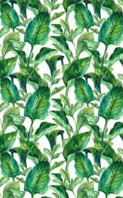 Акварельные листья