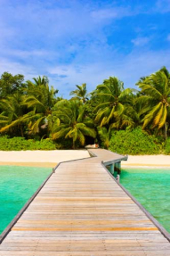 Мост к морю