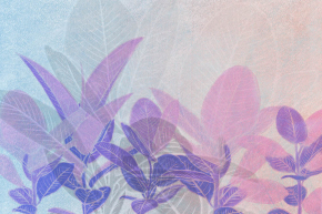 Картины Фиолетовые листья