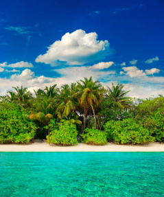 Пальмовый пляж