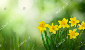 Весенние цветы