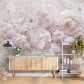 Пионы на стене