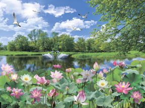 Озеро с лебедями