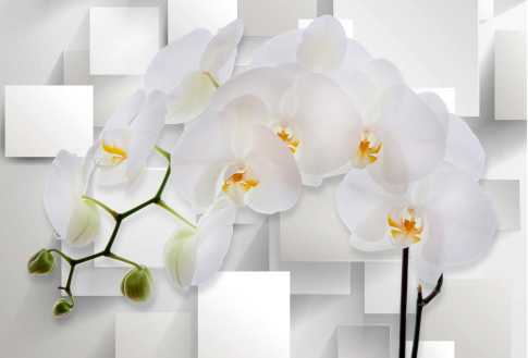3D орхидеи 392х270 Песок