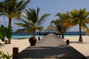 Пристань с пальмами